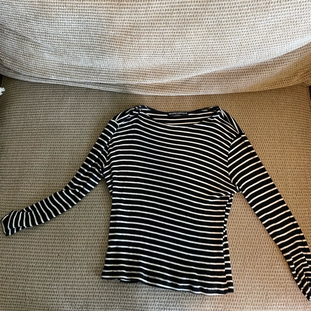 brandy melville long sleeve cropped top